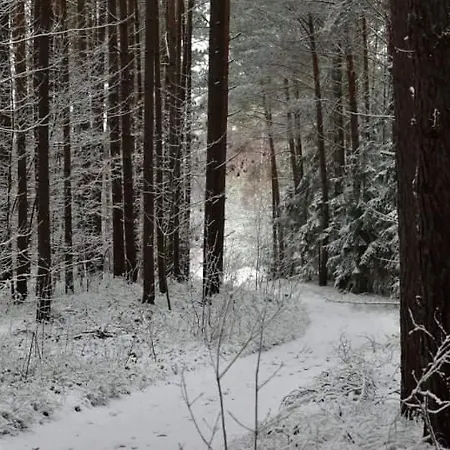 Rodzinny Park يانتار