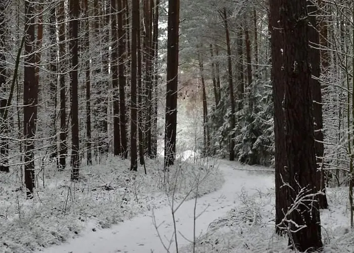 Rodzinny Park Jantar